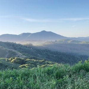 Meet your Posher, Alyson